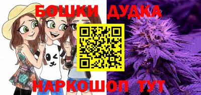 дживик Малгобек