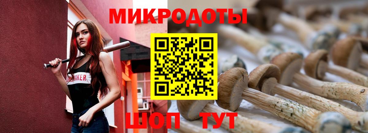Коммунар  Псилоцибиновые грибы ЛСД  Вход с VPN  Псилоцибиновые грибы Psilocybine cubensis 
